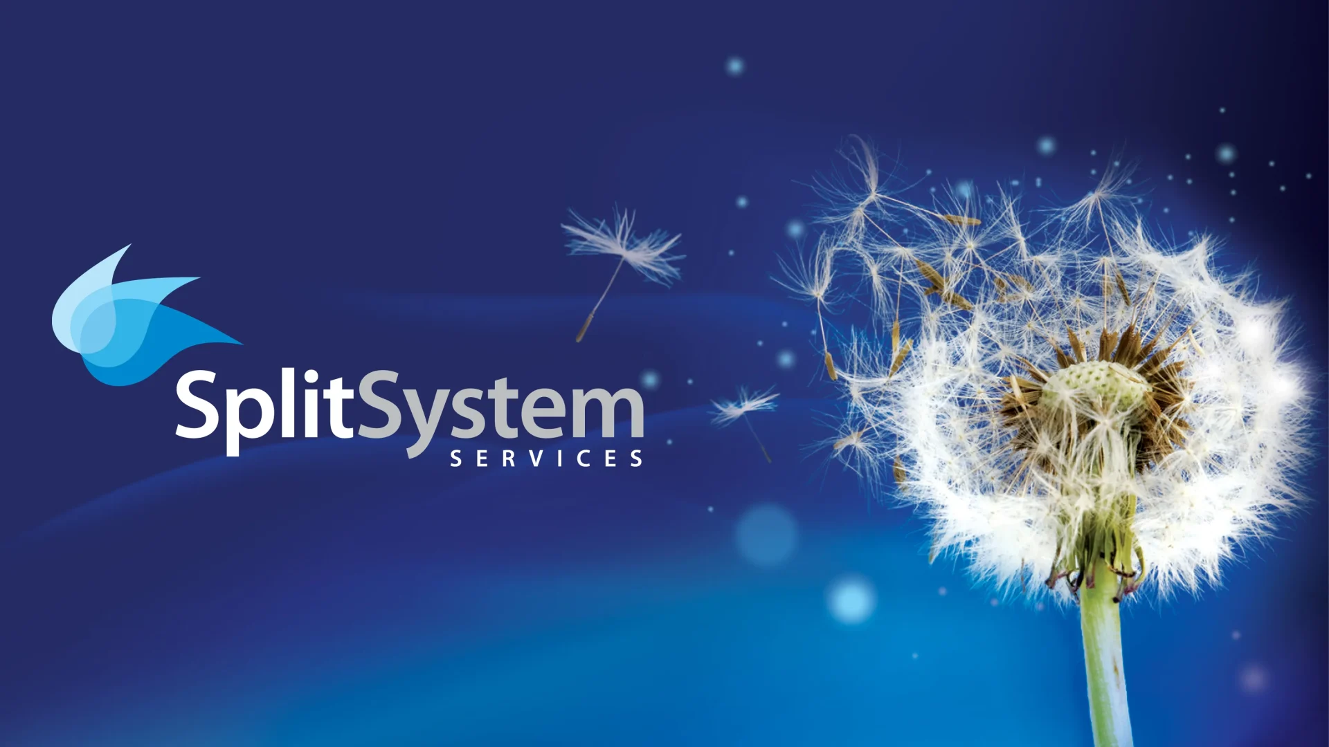Split System Services