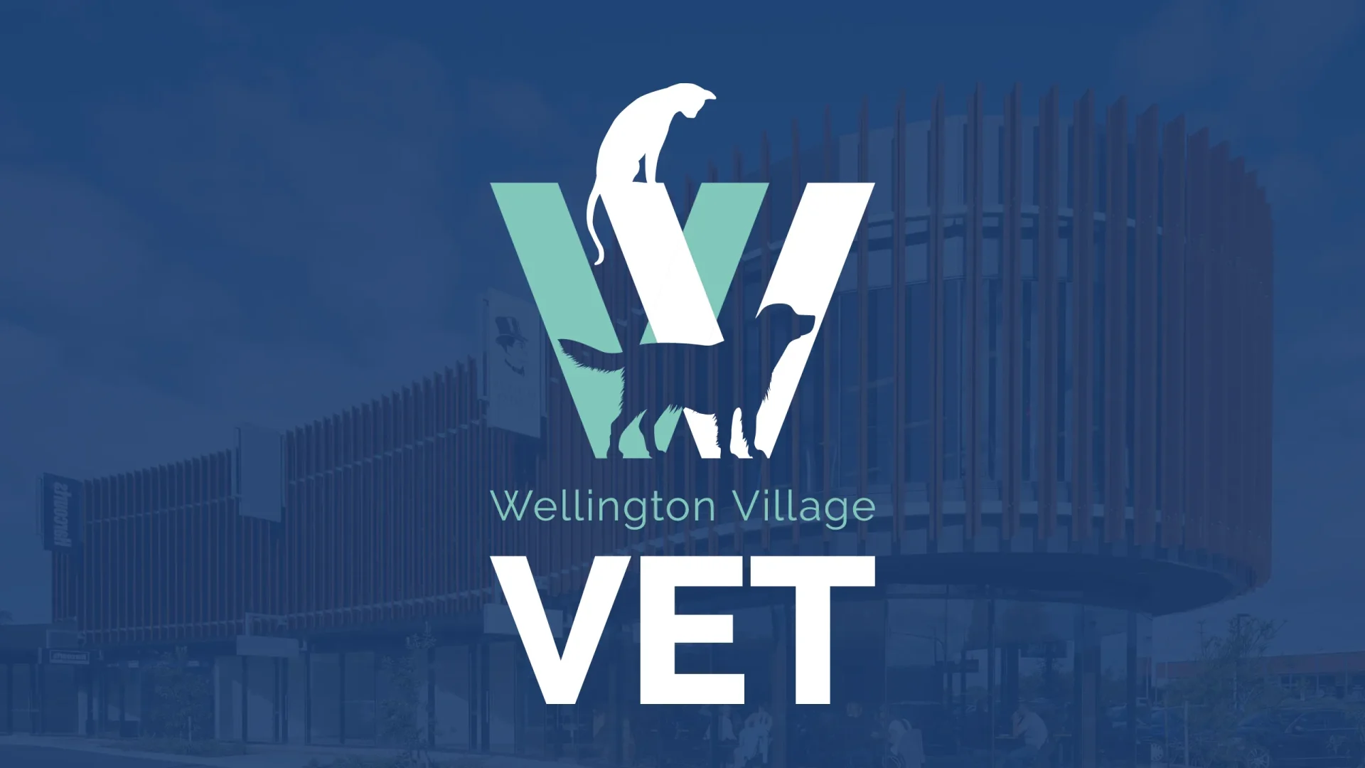 Wellington Village Vet